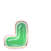 255