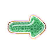 262