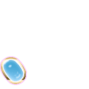 256