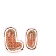 048