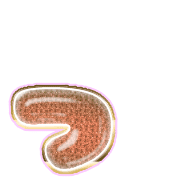 052