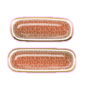102