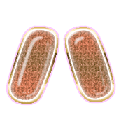 106