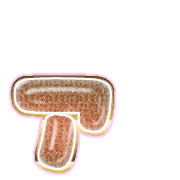 127