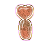 196