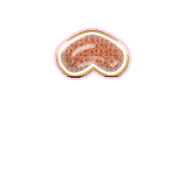 231