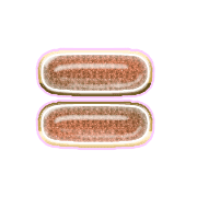 239