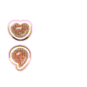 243