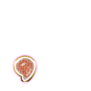 245