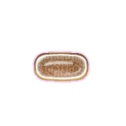 251