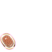 256