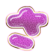 011