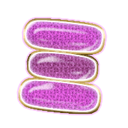 112