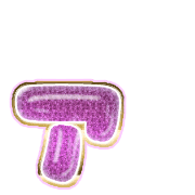 127