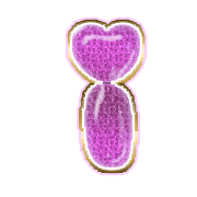 196