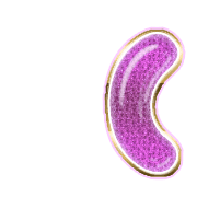 234