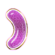 235