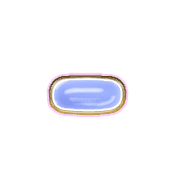 251