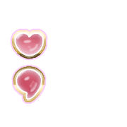 243