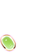 256