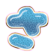 011