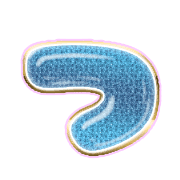 018