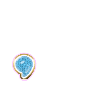245