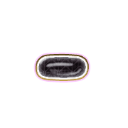 251