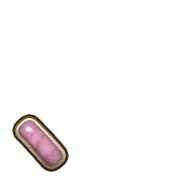 256