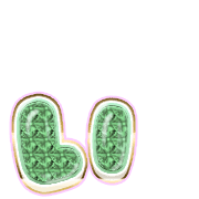 048