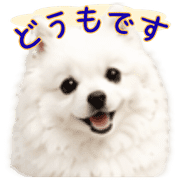 004