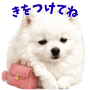 030