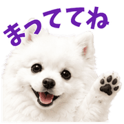 020