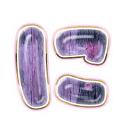 022