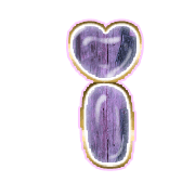 196