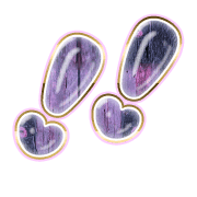 268