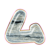 113