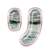 120