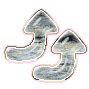 270