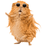 017