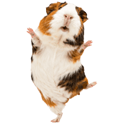025