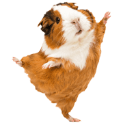 030