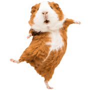 038