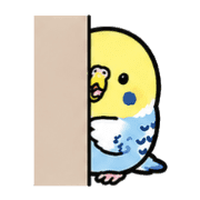 006