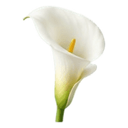 018