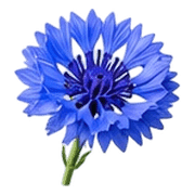 019