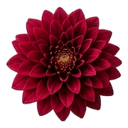 027