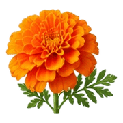 040