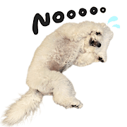 036