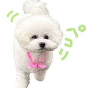 040